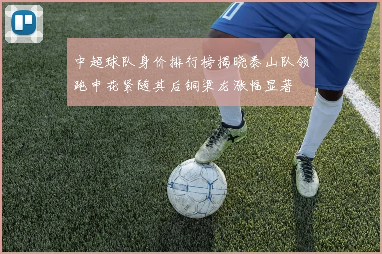 中超球队身价排行榜揭晓泰山队领跑申花紧随其后铜梁龙涨幅显著